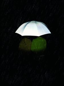 Parapluies publicitaire Golf|REFLECTIVE Argente 4