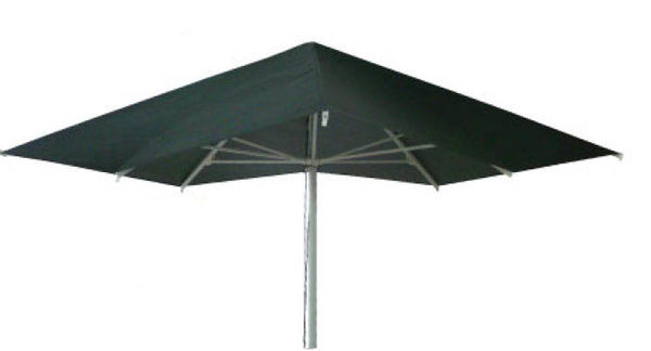 parasols forain Vert