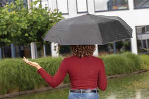 Mini parapluie|bi couleur Silver 6