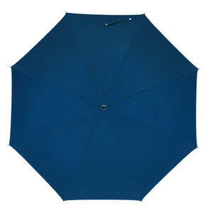 Parapluie bi color Bleu Argente 2