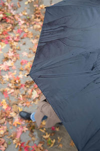 Parapluie Canne Anti Tempete Imprime Rouge 7