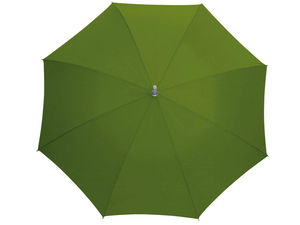Parapluie deux places Vert mousse 2