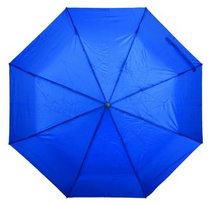 Parapluie pliable|Auto Bleu 1