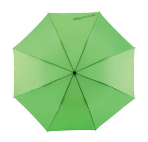 Parapluie tempete Vert Clair 1