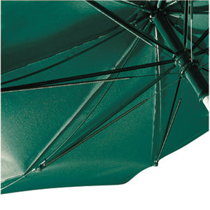 Parapluies pub teflon Vert foncé 3