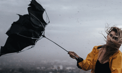 parapluie anti-tempête entreprise